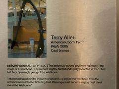 -达拉斯 沃斯堡国际机场