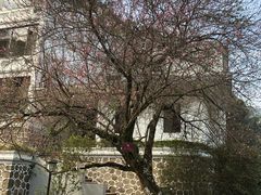 -广东温泉宾馆