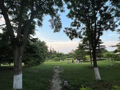 -康庄公园