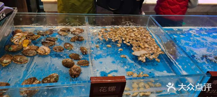 箸福·夜上海(雨花客厅店)水产区图片