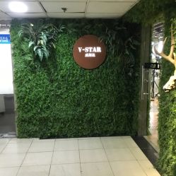 -V-STAR威斯达•高级私人定制