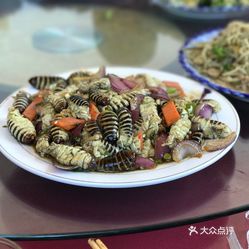 攤笨雞蛋白菜燉豆腐炒小神仙繭蛹燉小河魚燉豆角土豆