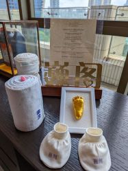 -巍阁月子中心(南山店)