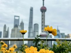 -北外滩滨江绿地