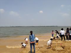-瑶湖郊野森林公园