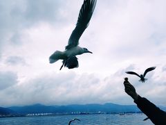 -海埂大坝