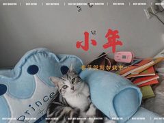 -lincat·猫舍(广州店)