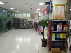 -天使宠物医院·犬猫分诊(彩虹店)