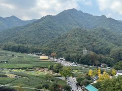 -听风阁农家私房菜茶楼(龙坞店)