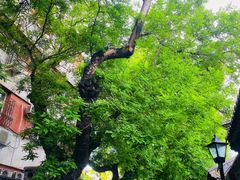 -北京市东四九条小学