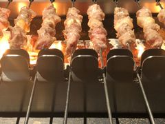 -很久以前羊肉串(昌里路三钢里店)