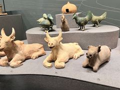 -广西壮族自治区博物馆