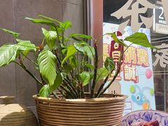 -小泉居(水坑尾店 )