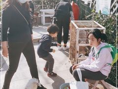 -上海佘山世茂艾美酒店