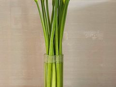 -双季花艺园艺市场(浦东店)