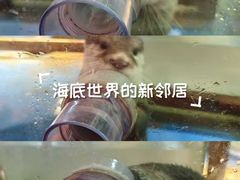 -太奥幻太奇海洋馆