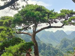 -大连天门山国家森林公园