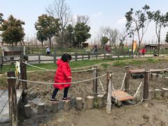 -田园东方蜜桃村的田野营地