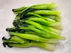 -巴音浩日娲酒楼(双林东路店)