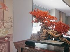 -顺峰(农展馆店)