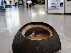 原只椰子炖竹丝鸡-達揚原味燉品(文明路店)