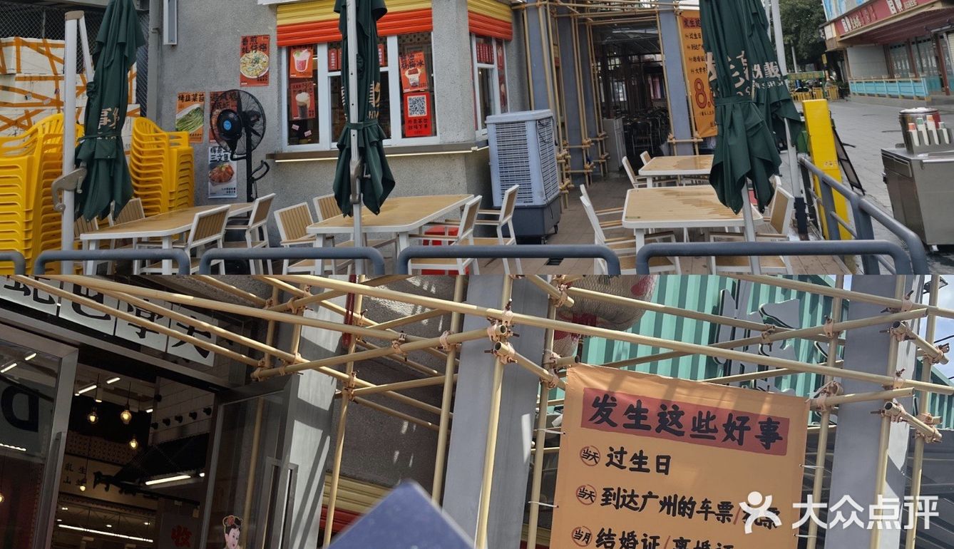 广州白云五号停机坪‼️巴掌大生蚝