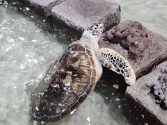 -杭州海底世界