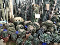 -国家植物园南园