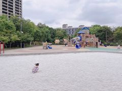 -映月湖中央公园