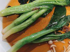 -新白鹿餐厅(百联中环店)