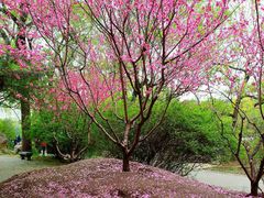-玲珑塔公园