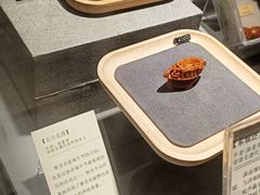 -猫的天空之城概念书店(苏州诚品店)
