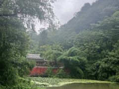 -黔灵山公园