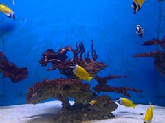 -海合安武汉极地海洋公园