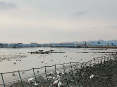 -烟墩角天鹅湖