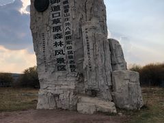 -塞罕坝国家级自然保护区