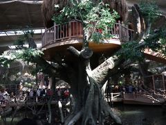 景点-南宫五洲植物乐园