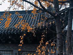 -磁器口古镇