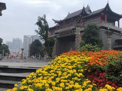 -龙潭水乡