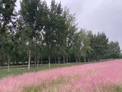 -汉长安城未央宫国家考古遗址公园