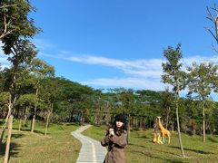 -森波拉火山温泉