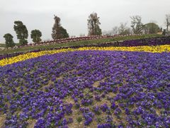 -南通洲际绿博园