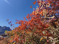 -周口店坡峰岭风景区
