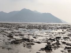 -北岐滩涂