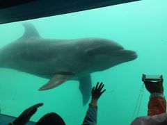 -北戴河圣蓝海洋公园