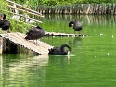 -沈阳森林动物园