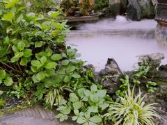 -足本纪·足道 SPA 简餐 小吃(文三西路店)