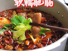 -晓彭肥肠鸡·泡椒鸡火锅(水木天地店)