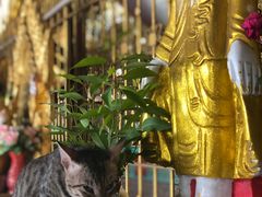 -ခြောက်ထပ်ကြီးရွှေသာလျောင်းဘုရားကြီး