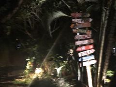 -乌托邦酒吧和餐厅